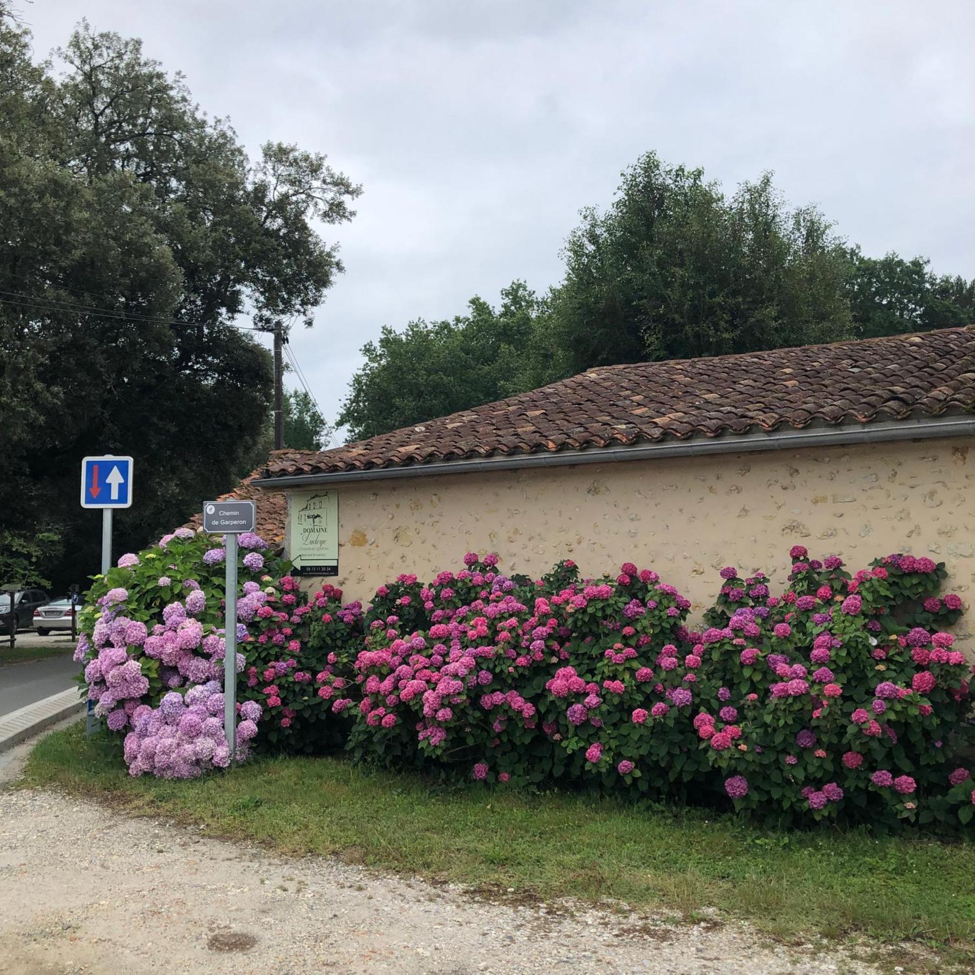 Domaine De Ludeye Hotell Listrac-Médoc Eksteriør bilde