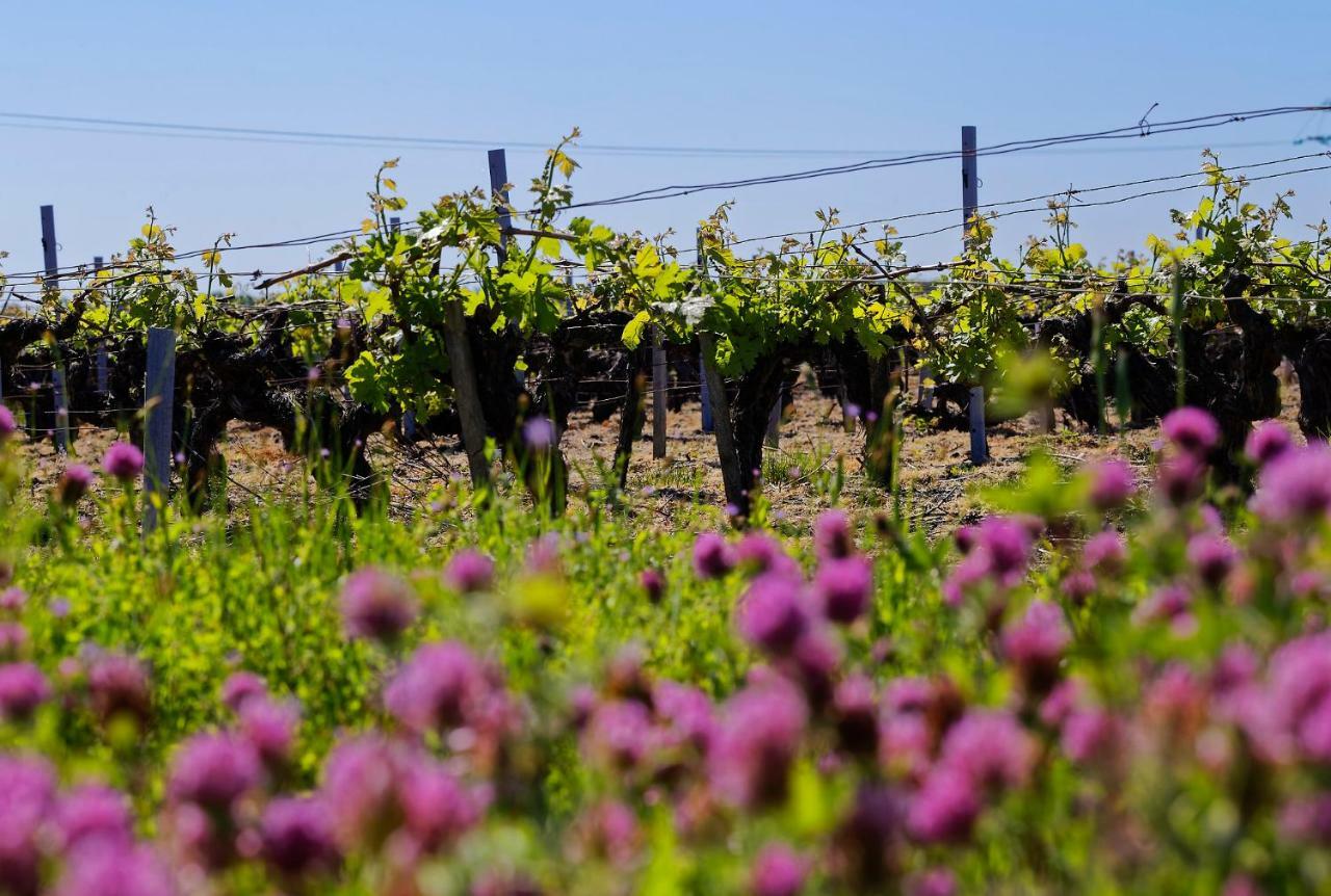 Domaine De Ludeye Hotell Listrac-Médoc Eksteriør bilde