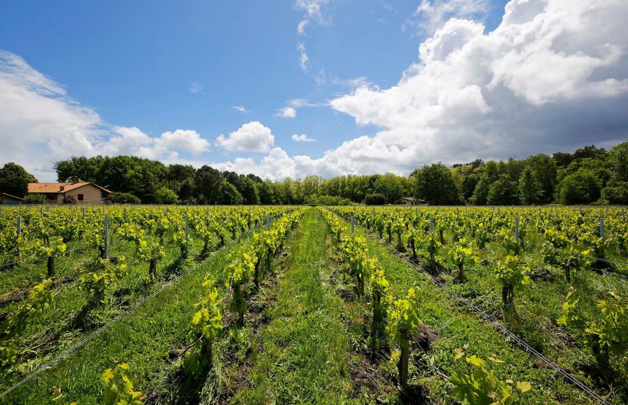 Domaine De Ludeye Hotell Listrac-Médoc Eksteriør bilde